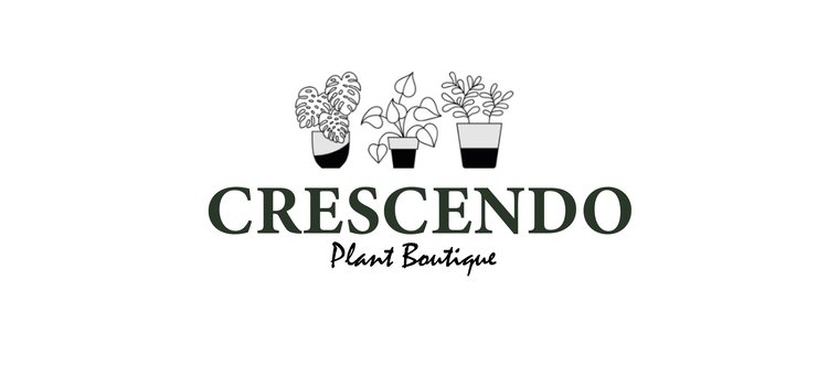 Crescendo